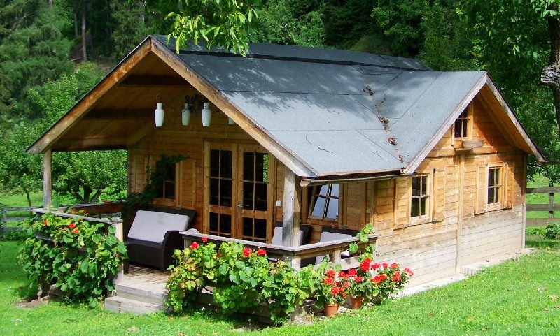 sustainable timber building surrounded by trees